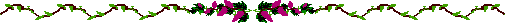plant divider