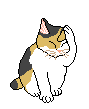 cat cleaning